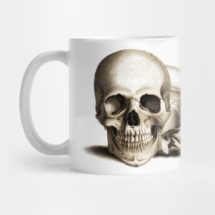 Two For Joy - Anatomical Drawing Of A Skull Mug